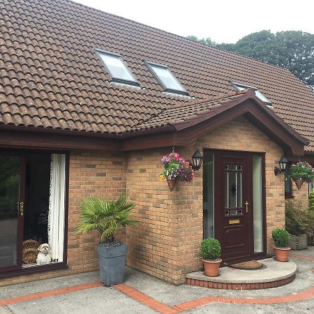 Bed and Breakfast The Firs - Englefied Studio Douglas Exteriér fotografie