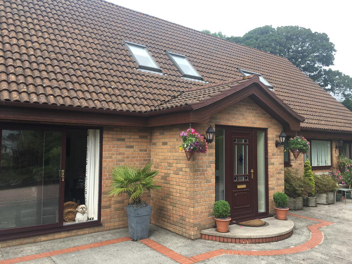 Bed and Breakfast The Firs - Englefied Studio Douglas Exteriér fotografie